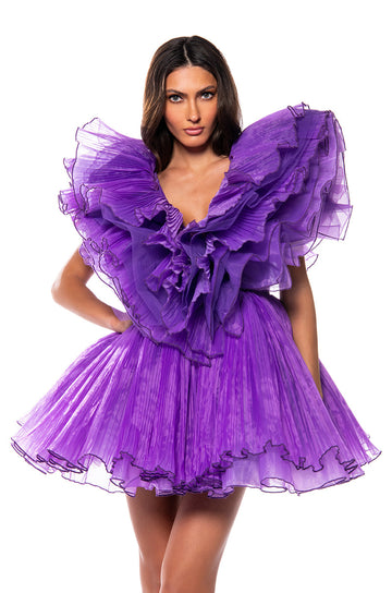 Ever After Ruffle Sleeve Pleated A Line Mini Dress