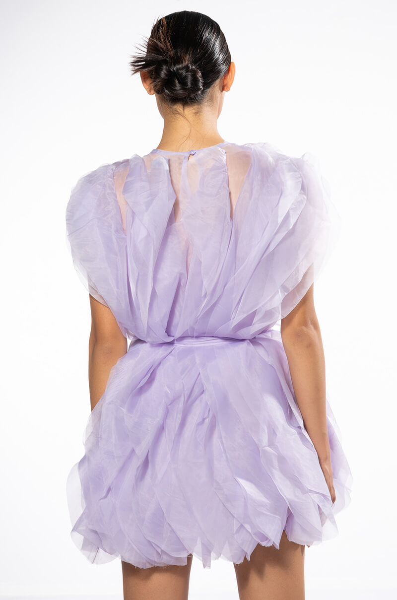 Ava Mini Fashion Dress