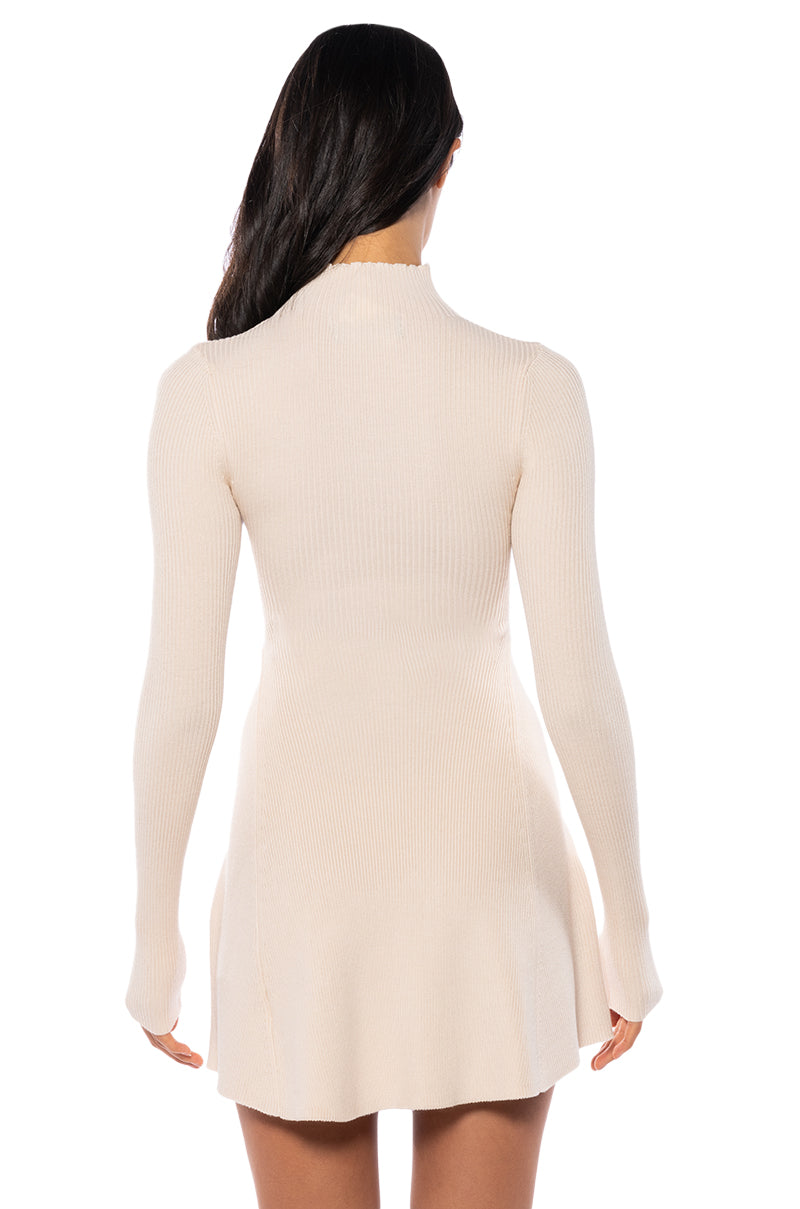 Jacie Mock Collar Knit Mini Dress