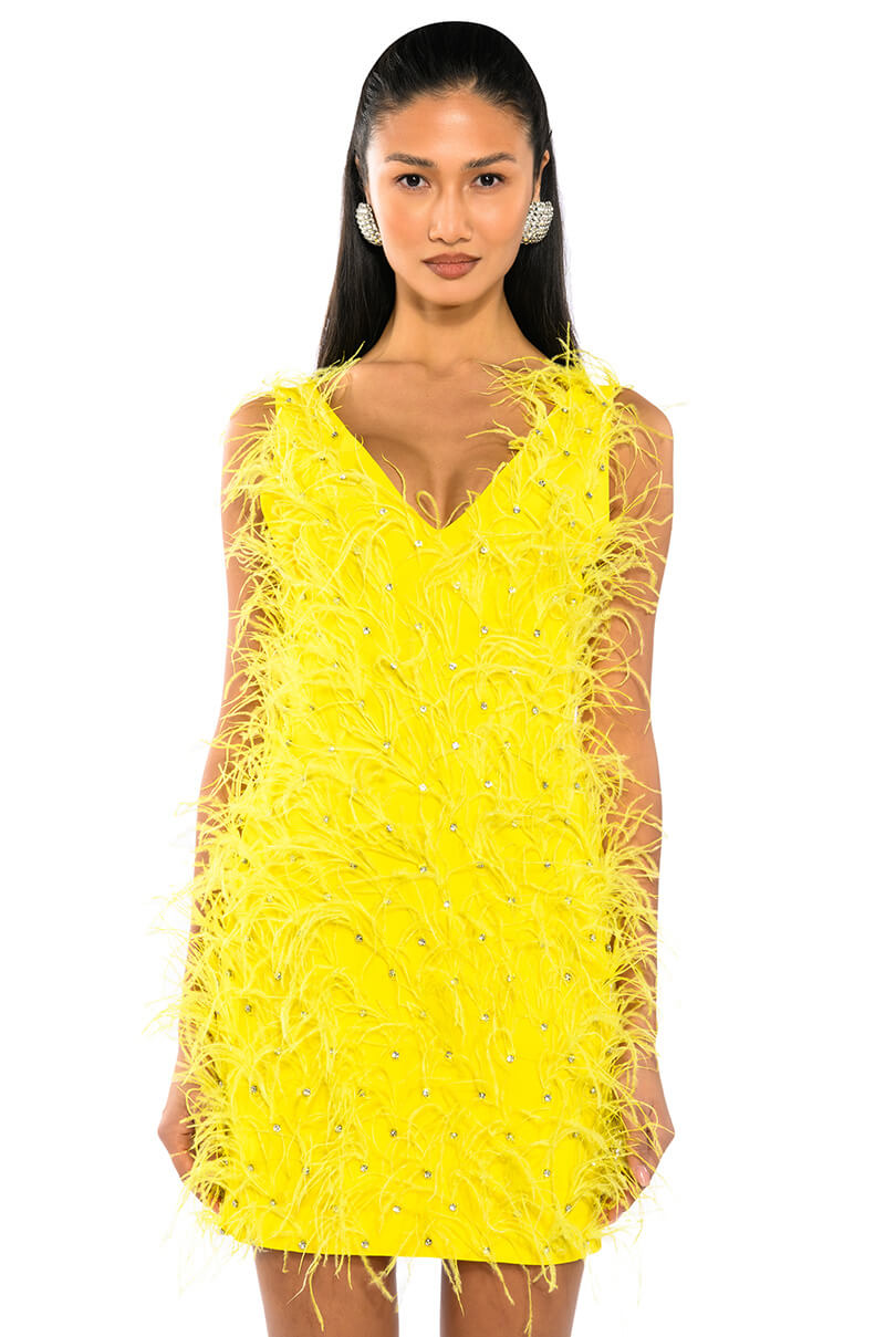 Rendezvous Sleeveless Feather Mini Dress