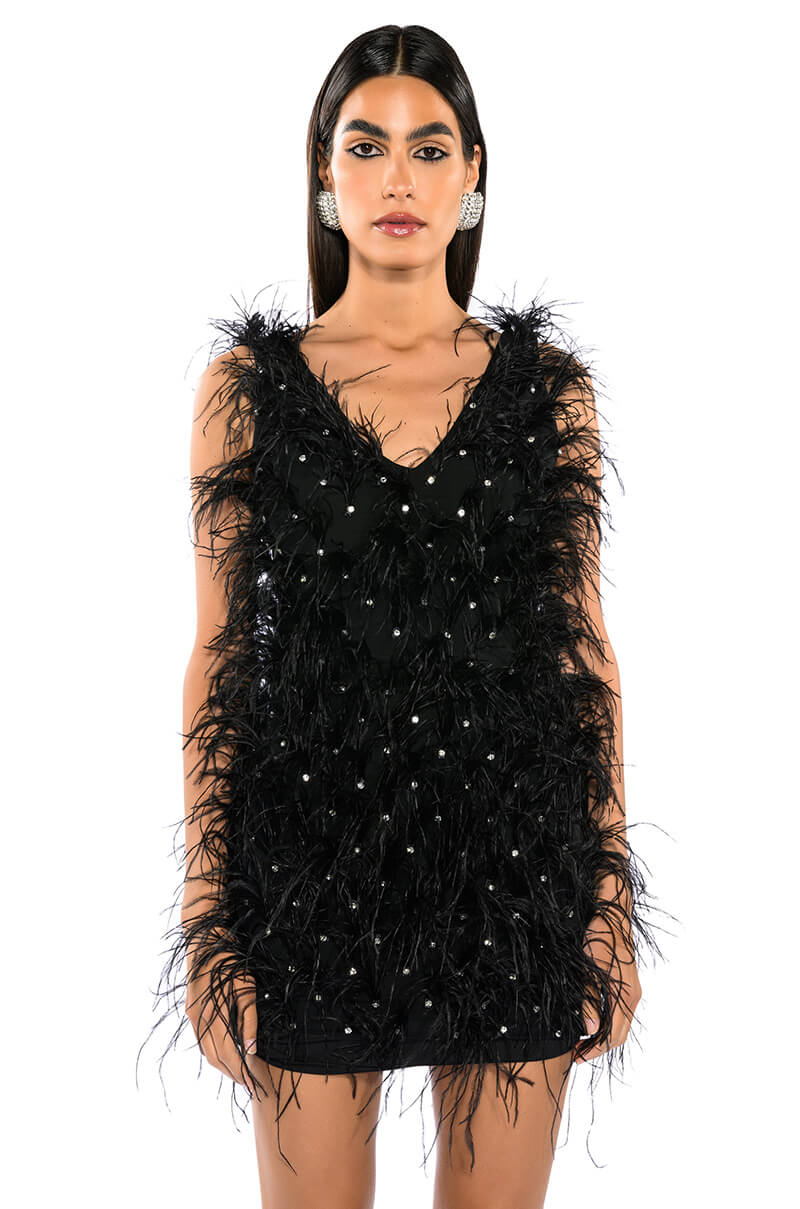 Rendezvous Sleeveless Feather Mini Dress