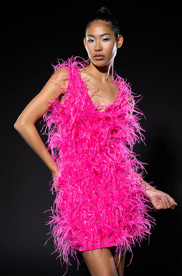 Star Of The Show Feather Mini Dress