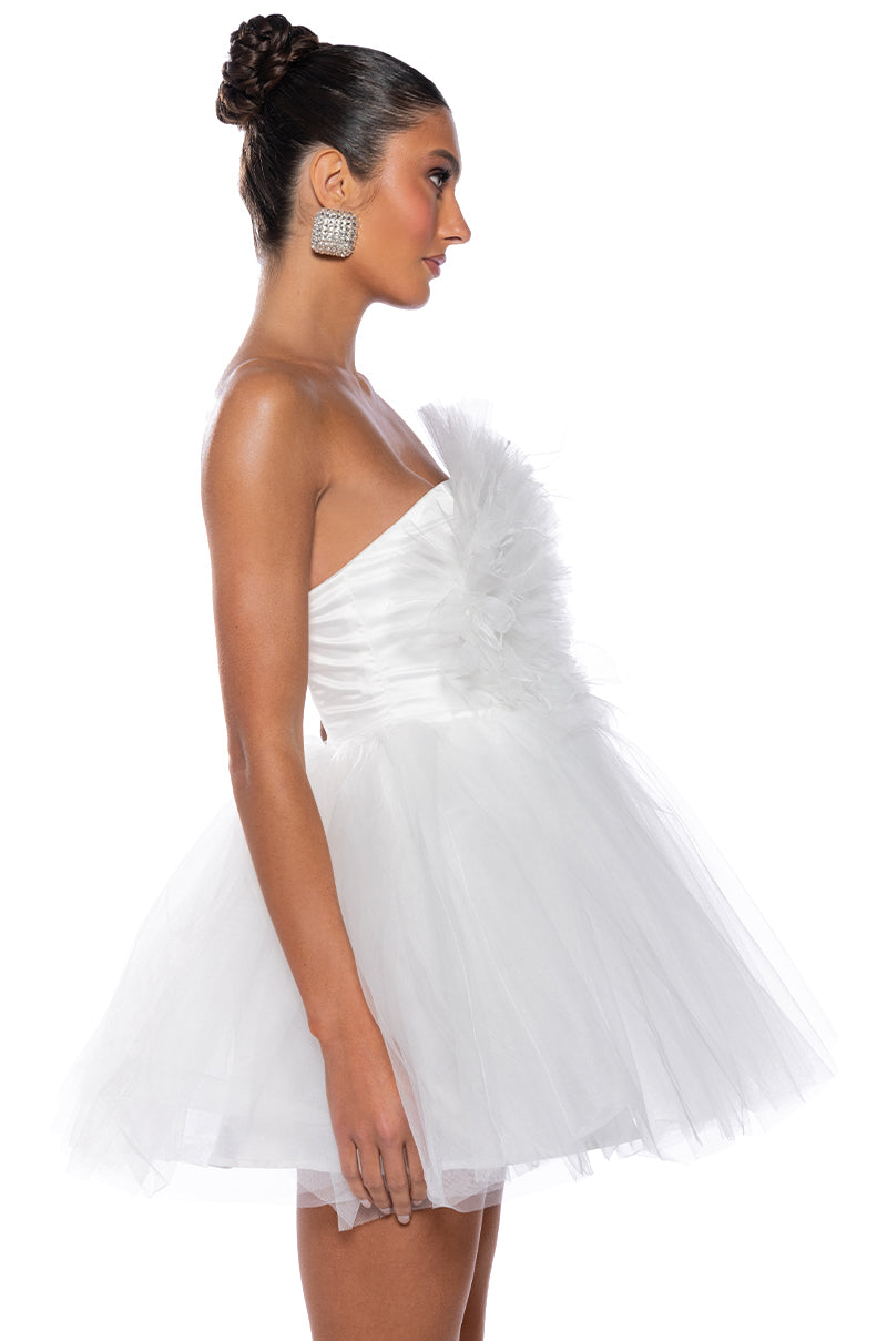 Something Slight Tulle Mini Dress