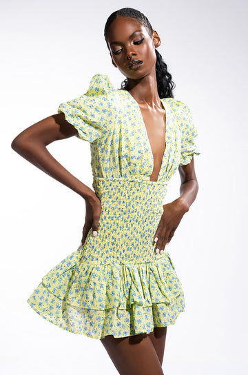 Sungoddess Floral Print Dress