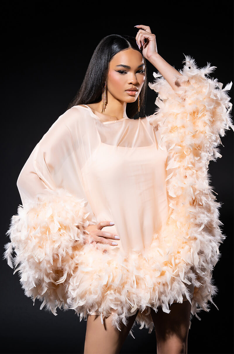 That Va Va Voom Long Sleeve Sheer Trapeze Dress